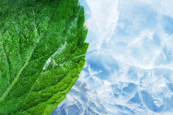 RELX Pod Pro 0% Nicotine (Autoship) RELX-Malaysia