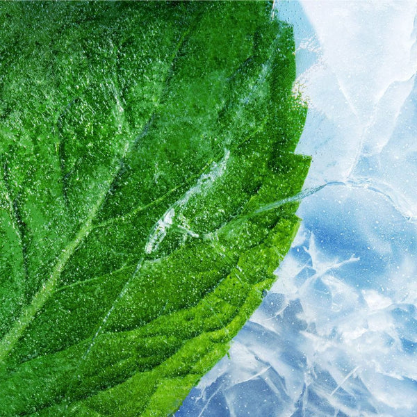 RELX Pod Pro 2 relx-vape-pod-pro-2-3-pod-pack-18mg-ml-relx-canada-34565463015563