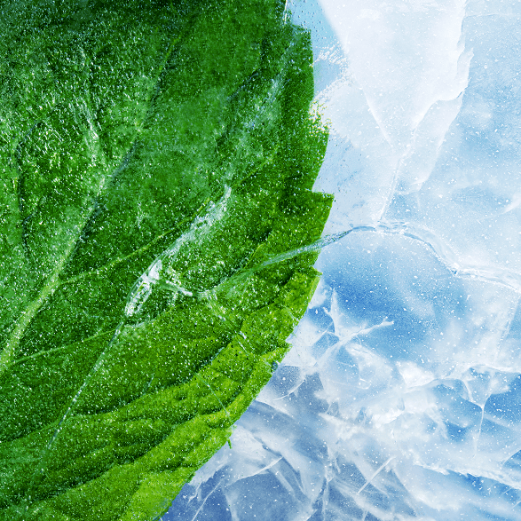 RELX Pod Pro (Autoship) 的副本 RELX-Canada