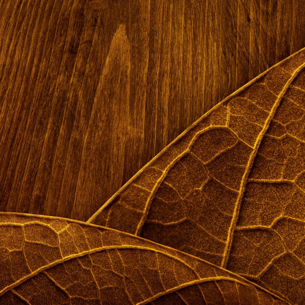 RELX Pod Pro relx-vape-pod-pro-relx-canada-official-31651463430283